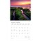 Sunsets | 2026 12 x 24 Inch (Hanging) Monthly Square Wall Calendar | Foil Stamped Cover